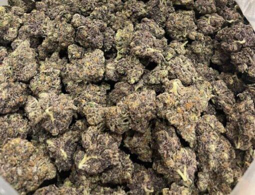 Biscotti strain